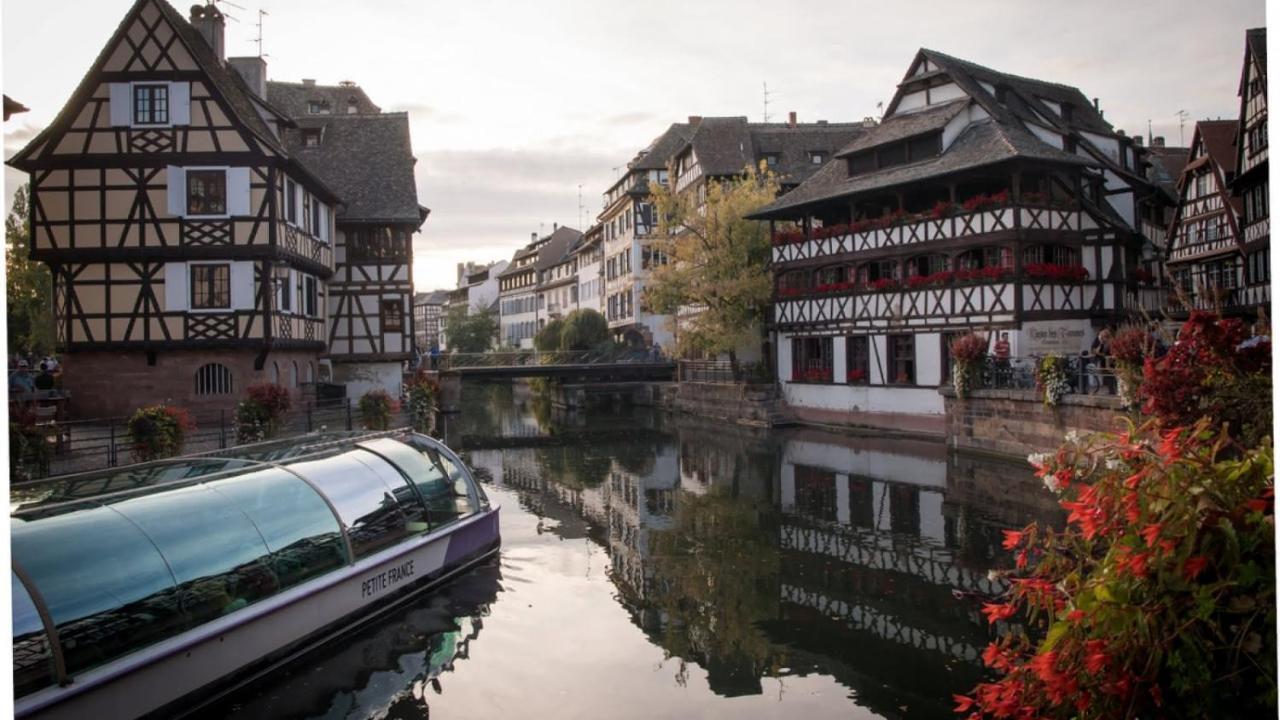 Gite Terre D'Helene 4 A 5 Pers Proche Strasbourg 42 M2, 3 Etoiles, Wifi, Paisible, Jardin, Proche Commerces,16 Atouts, Animaux Acceptes Berstett Exterior photo