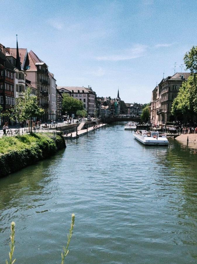 Gite Terre D'Helene 4 A 5 Pers Proche Strasbourg 42 M2, 3 Etoiles, Wifi, Paisible, Jardin, Proche Commerces,16 Atouts, Animaux Acceptes Berstett Exterior photo